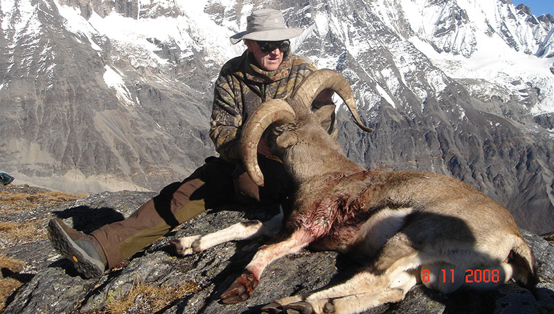 Himalayan Safaris Pvt Ltd.